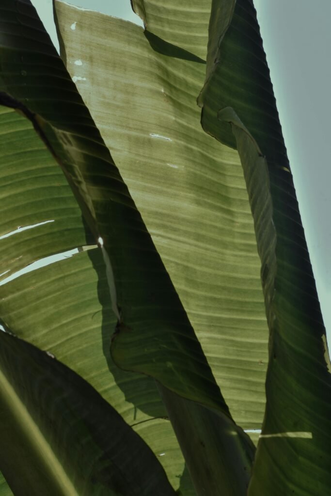 Rank on Google’s First Page